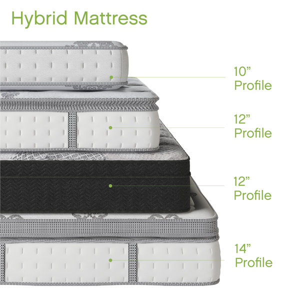 Wayfair Sleep™ 14" Medium Plush Hybrid Mattress & Reviews Wayfair